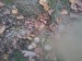 Prašivka - Pýchavka hruškovitá (Lycoperdon pyriforme) (6)